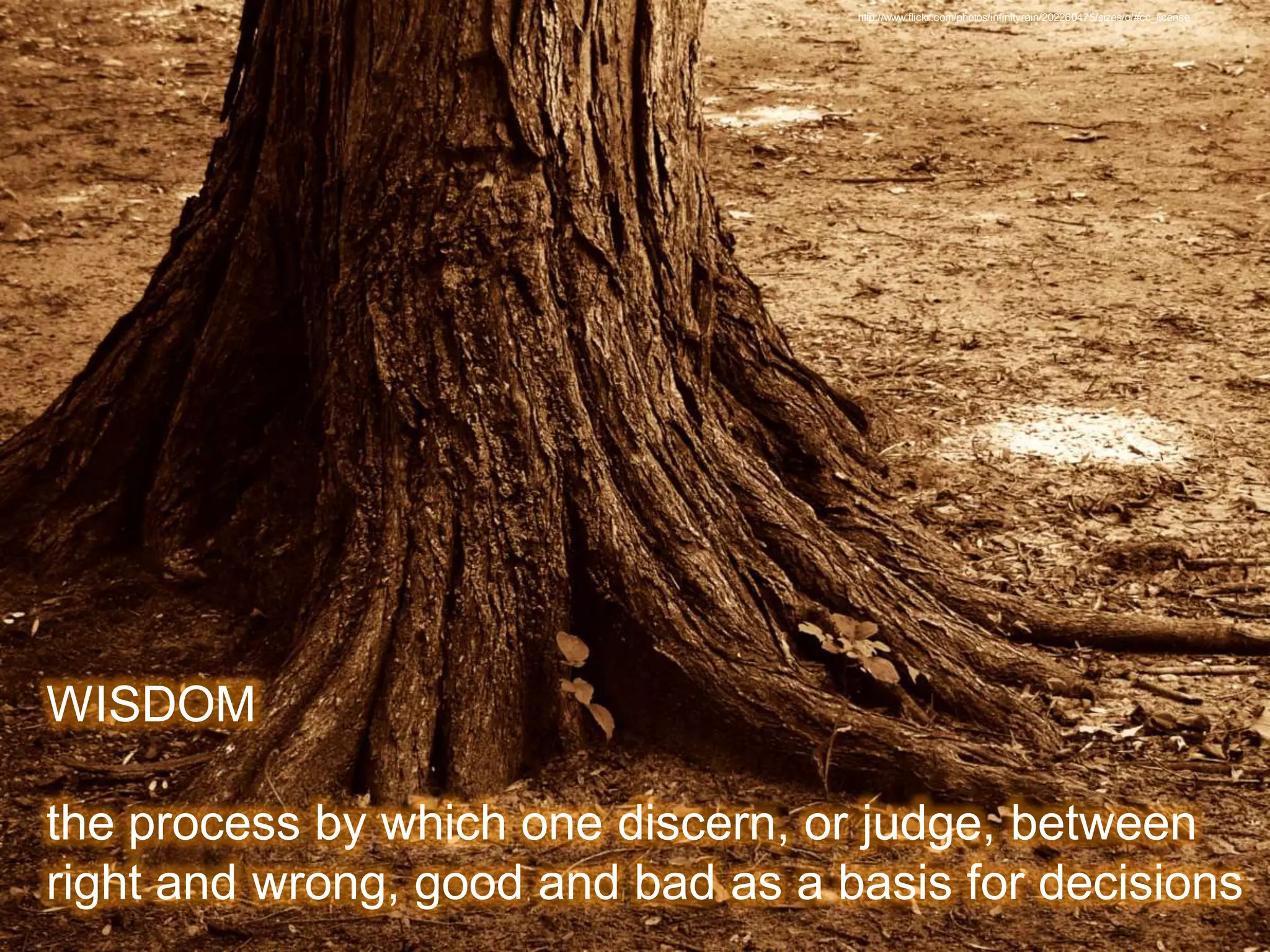 Information As A Service – The Key To The Correct Decisions At The Right Time