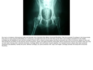 Thomas Wendt Surrounding Signiﬁers @thomas_wendt
Our task is to balance informational order and disorder into a harmony that allows structured ﬂexibility. Take the example of cartilage in the human body.
If we were to map anatomical ﬂexibility on a continuum, we might have skin at one end, bone at the other, and cartilage somewhere in the middle.
Cartilage has the pliability of skin and the strength of bone. Skin is meant to keep organs and ﬂesh contained, but it has no structure. Bodies of skin and
ﬂesh would be just blobs on the ground: precise movement, speed, and agility would be impossible. Bones provide the structure our bodies need, but they
are also rigid, moving only in discrete directions. Cartilage allows skin and bones to work together. It is located mostly in places that need sustained
movement and pliability, namely the joints. Without cartilage, our joints would be stiff, rigid, and fragile. Cartilage provides the body with structured
ﬂexibility. 
 