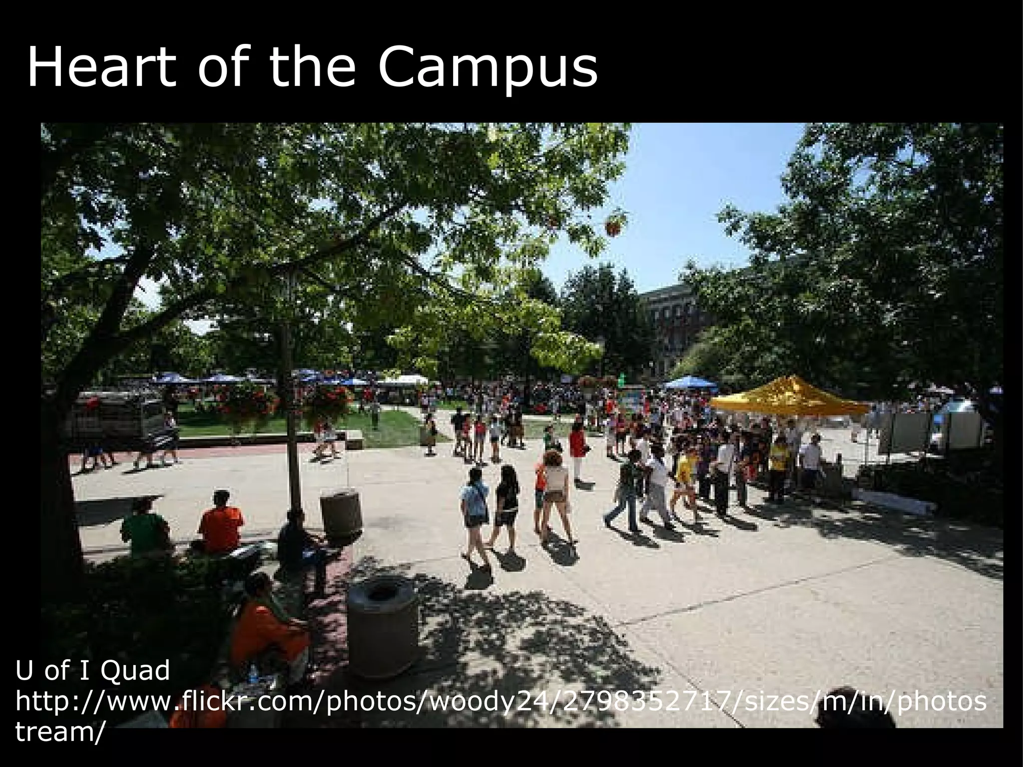 Heart of the Campus   U of I Quad http://www.flickr.com/photos/woody24/2798352717/sizes/m/in/photostream/  