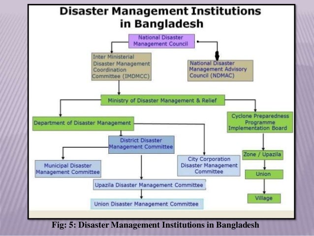 Disaster Management Institutions In Bangladesh