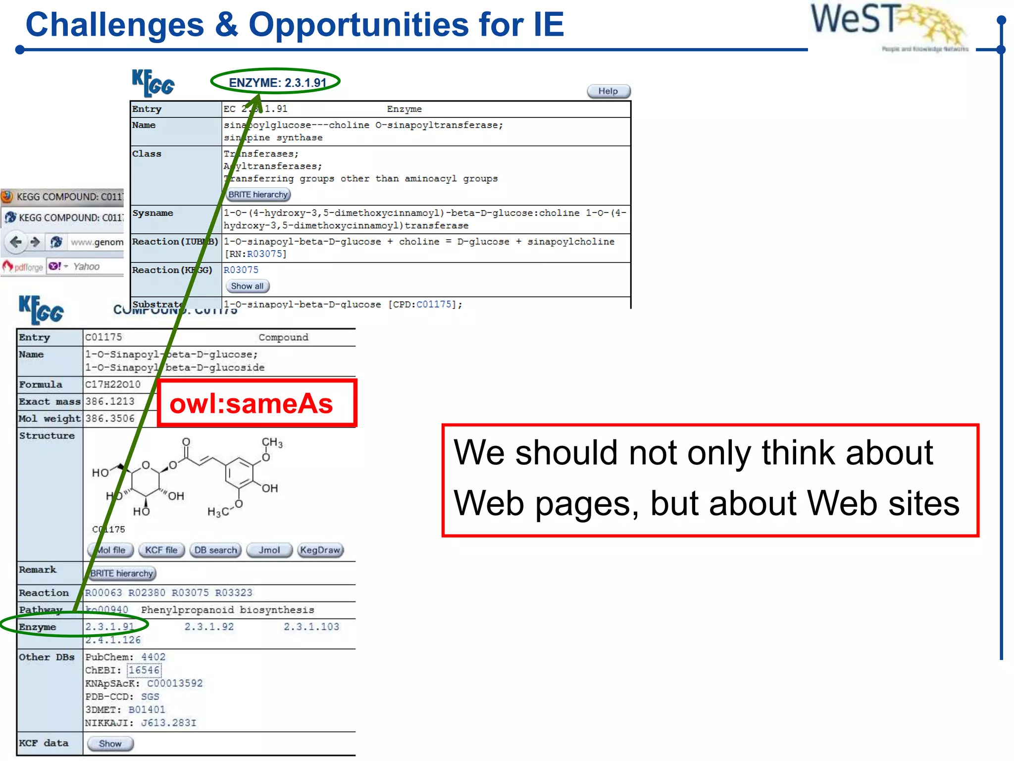 Challenges & Opportunities for IE




             owl:sameAs
                                       We should not only think about
                                       Web pages, but about Web sites




WeST – Web Science &   Steffen Staab          Slide 22
Technologies           staab@uni-koblenz.de
 