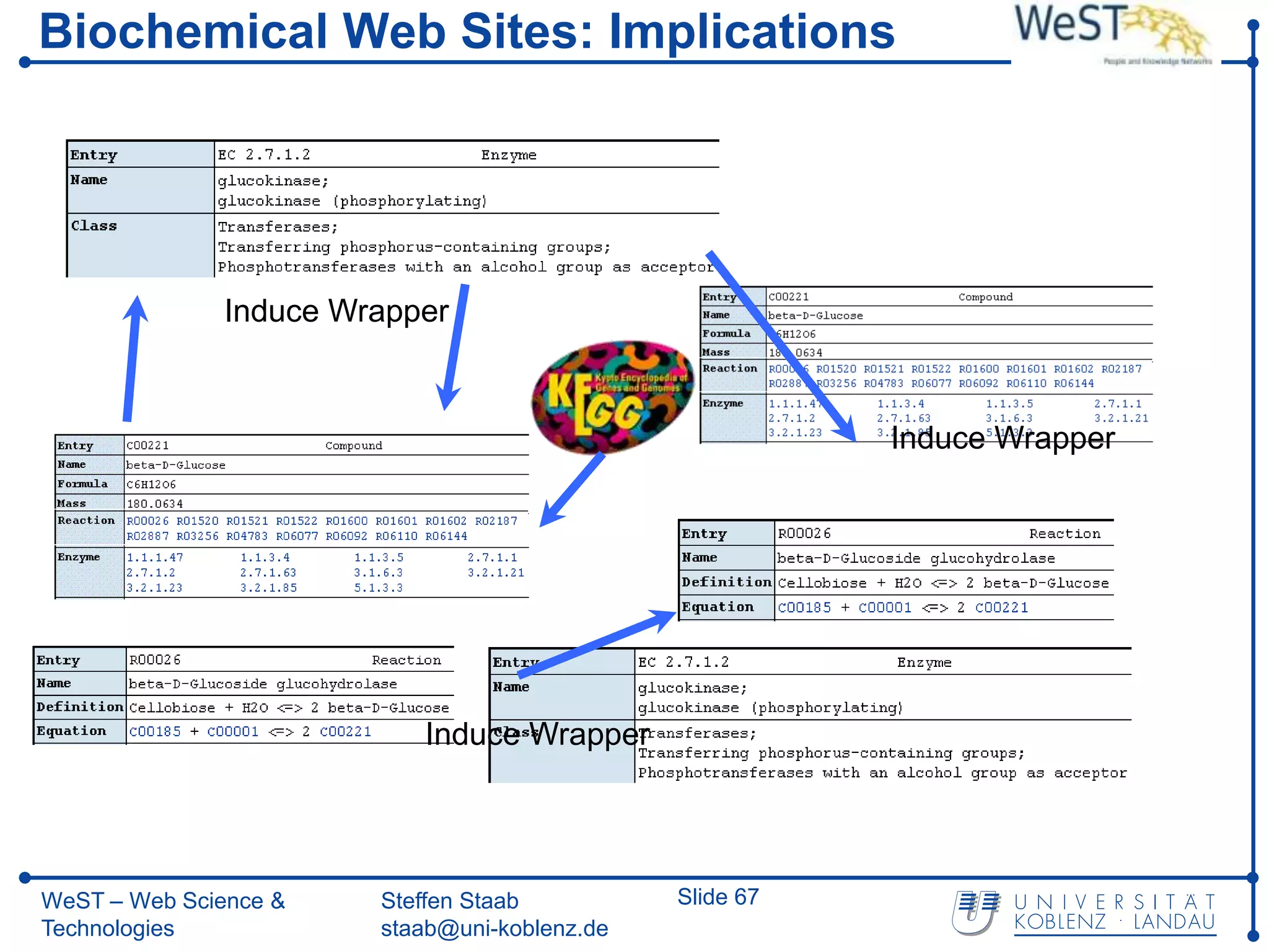 Biochemical Web Sites: Implications




              Induce Wrapper



                                                         Induce Wrapper




                          Induce Wrapper




WeST – Web Science &   Steffen Staab          Slide 67
Technologies           staab@uni-koblenz.de
 