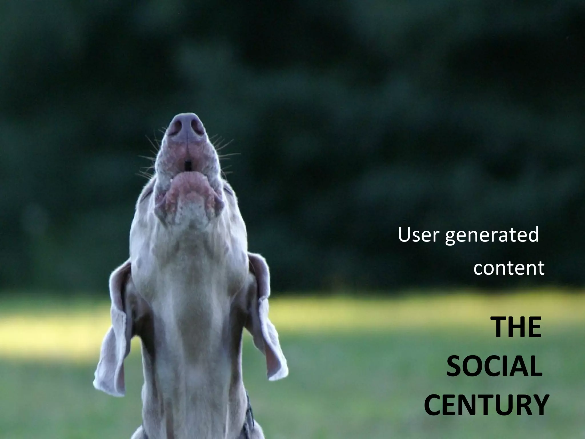 User generated
        content

      THE
   SOCIAL
  CENTURY
 
