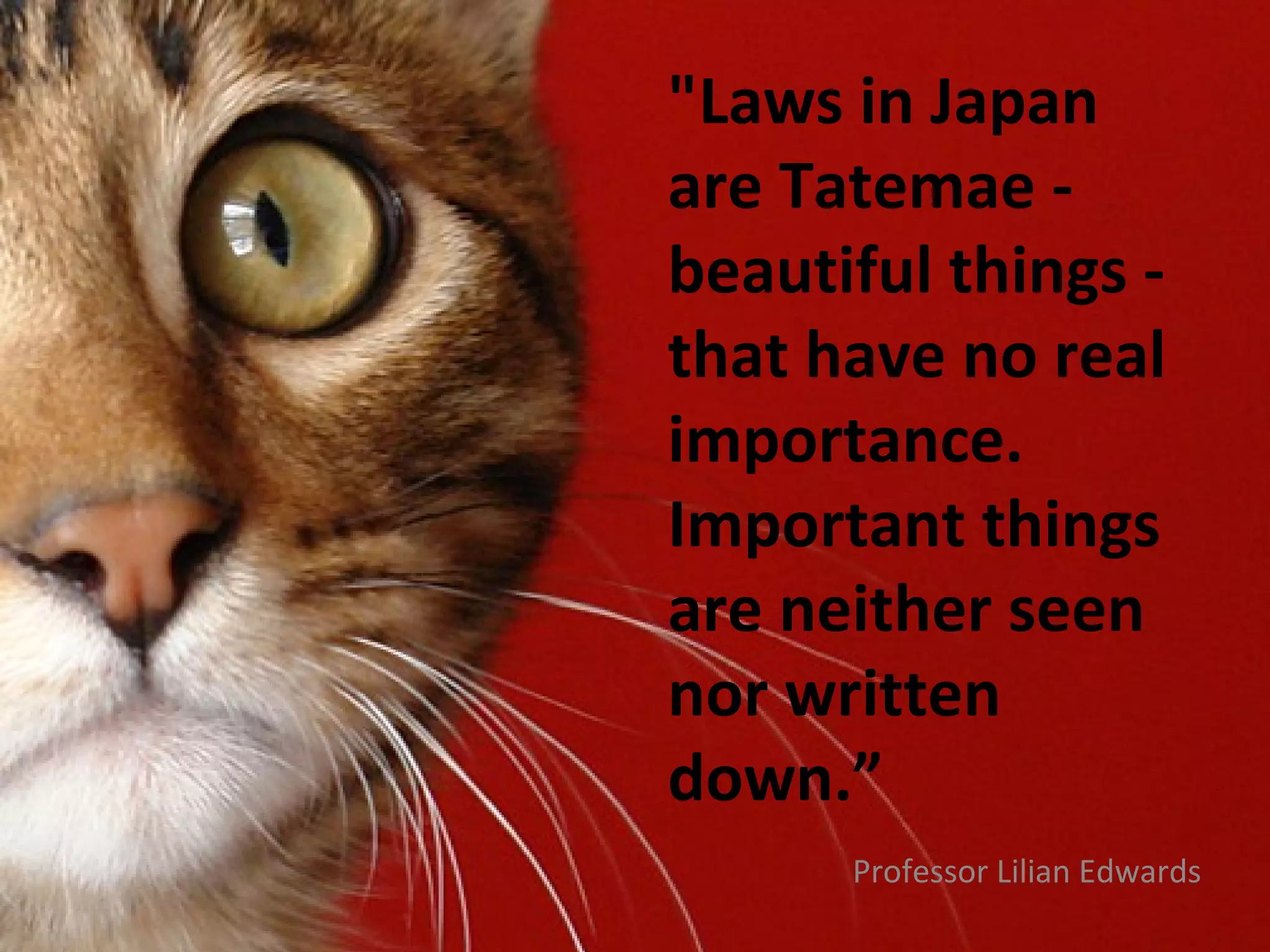 "Laws in Japan
are Tatemae -
beautiful things -
that have no real
importance.
Important things
are neither seen
nor written
down.”
      Professor Lilian Edwards
 
