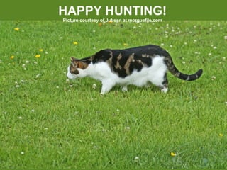 HAPPY HUNTING! Picture courtesy of Jubsen at morguefile.com 