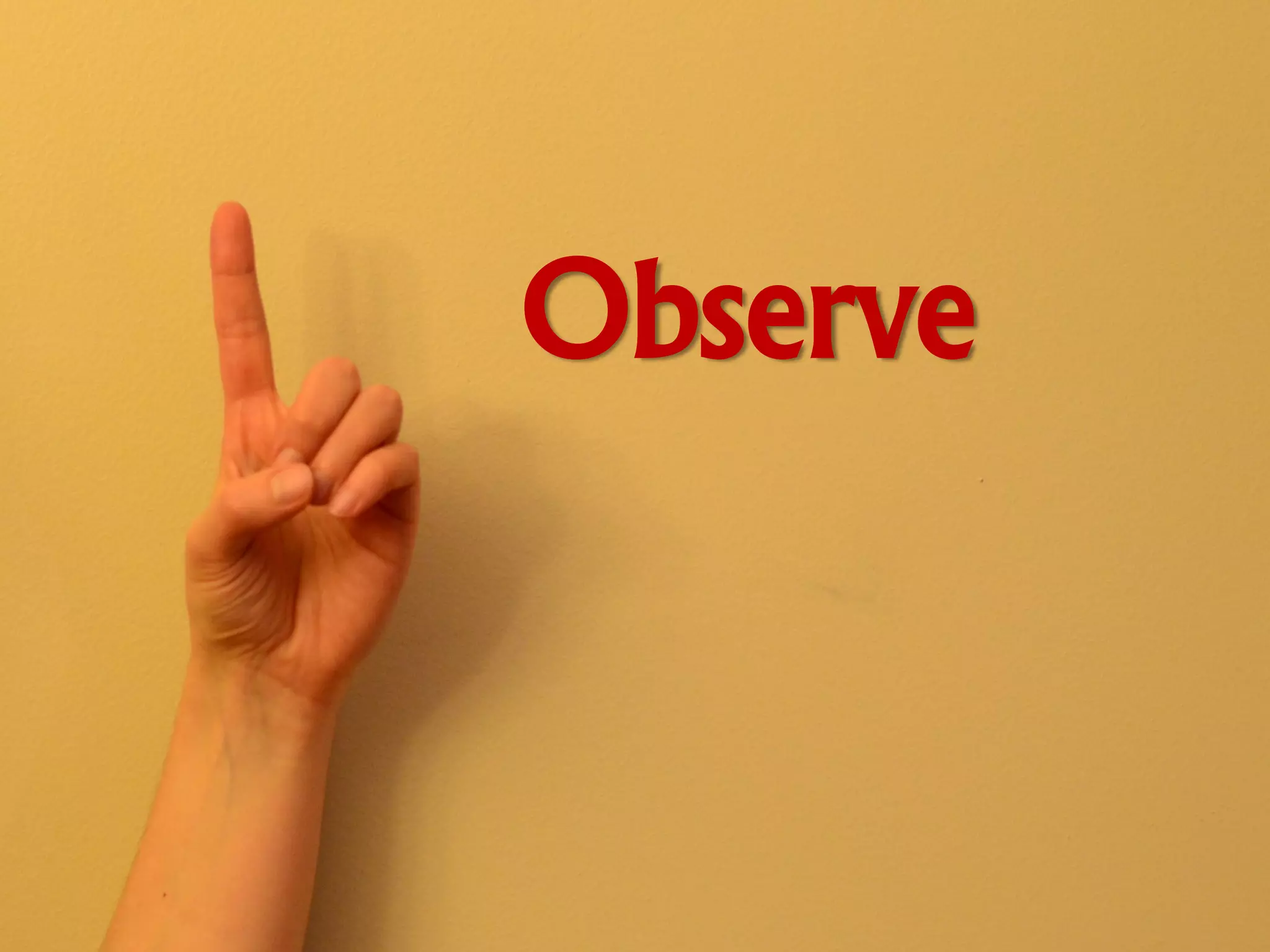 Observe
 