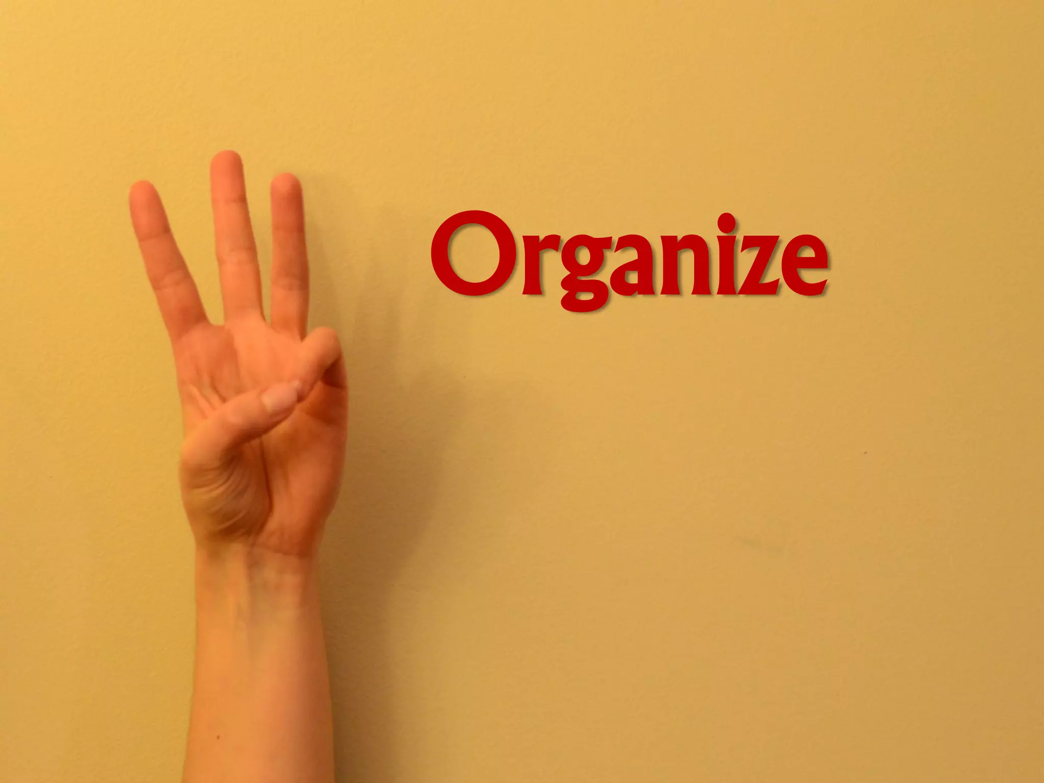 Organize
 