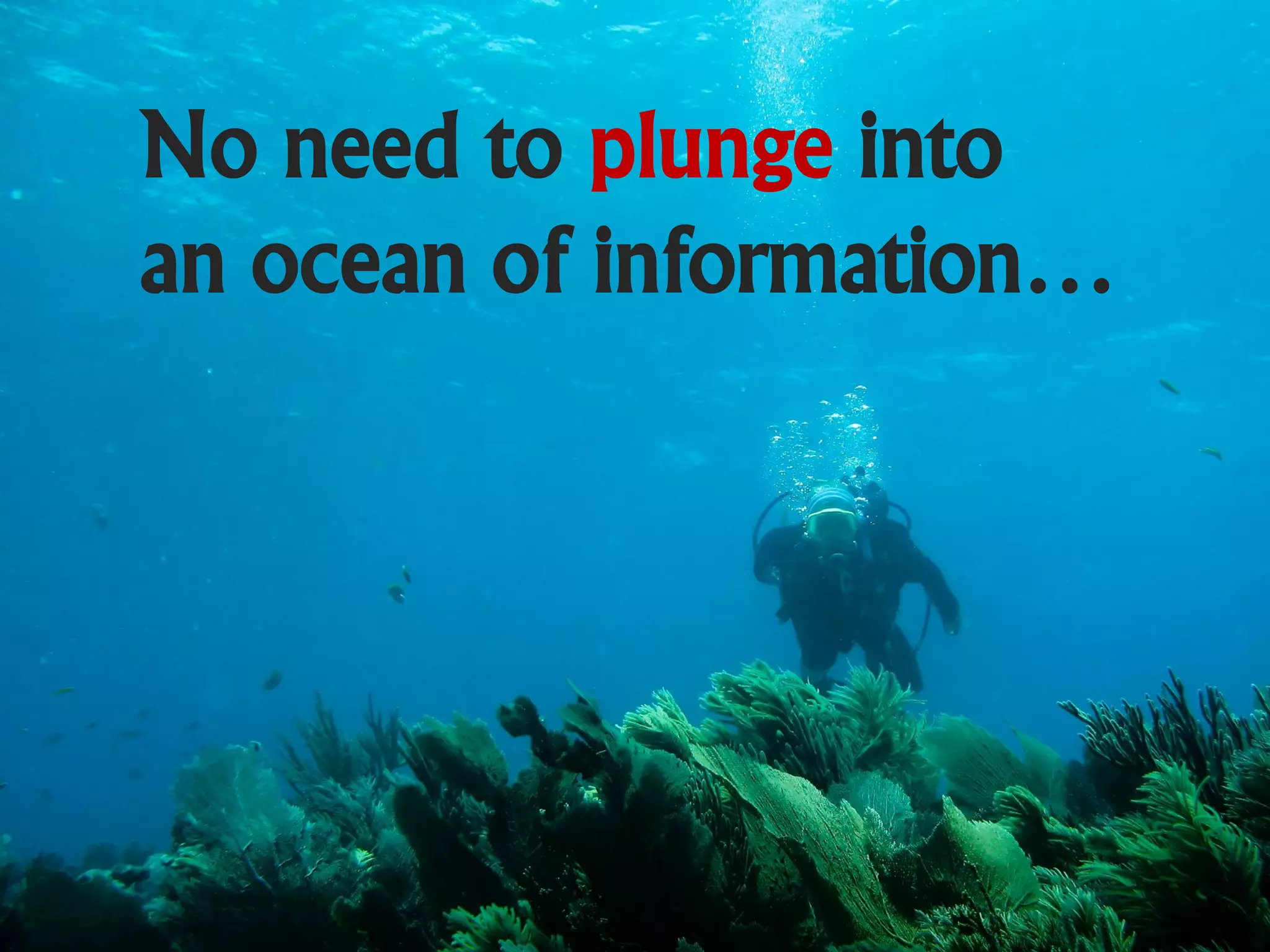 No need to plunge into
an ocean of information…
 
