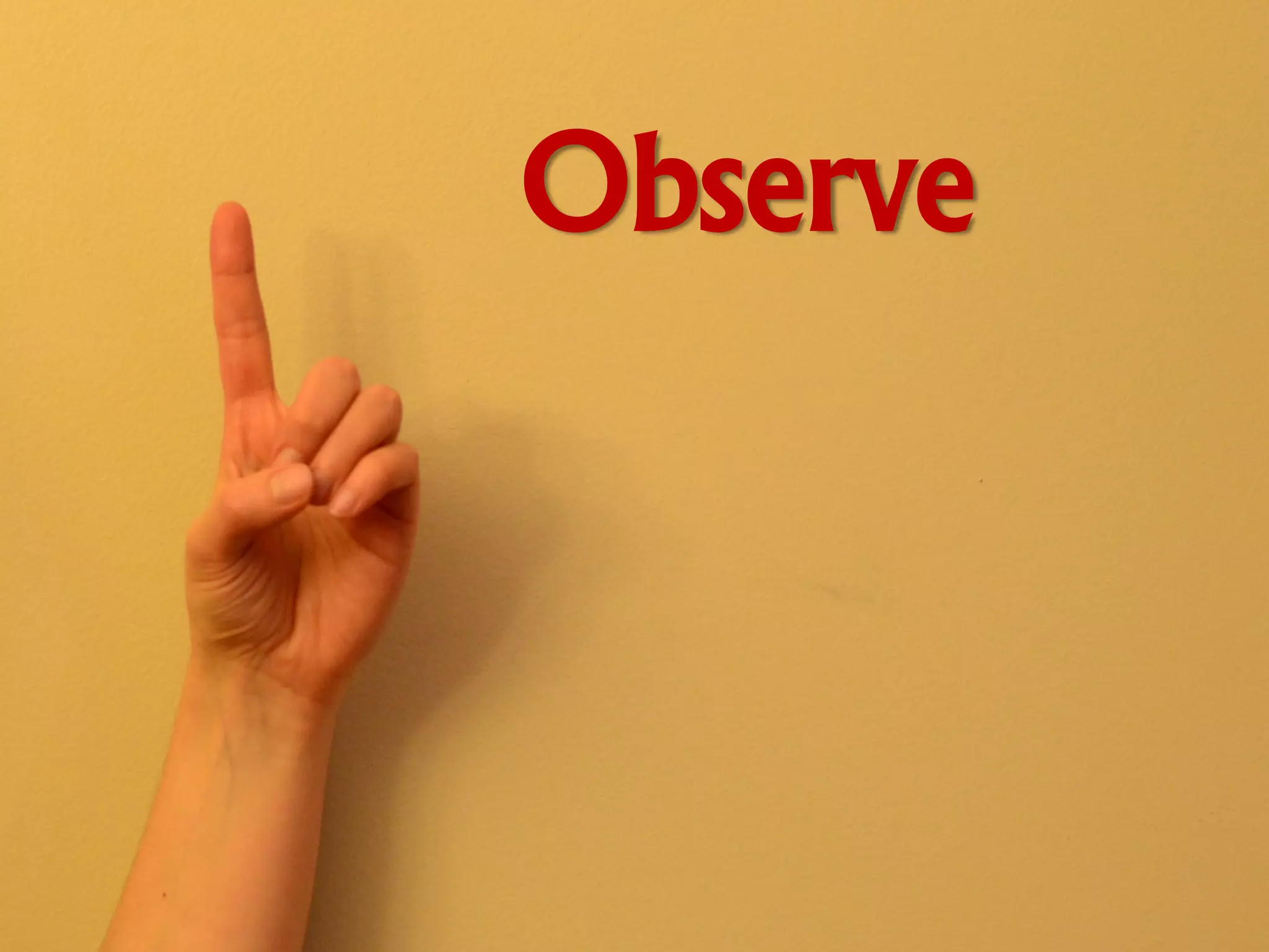 Observe
 