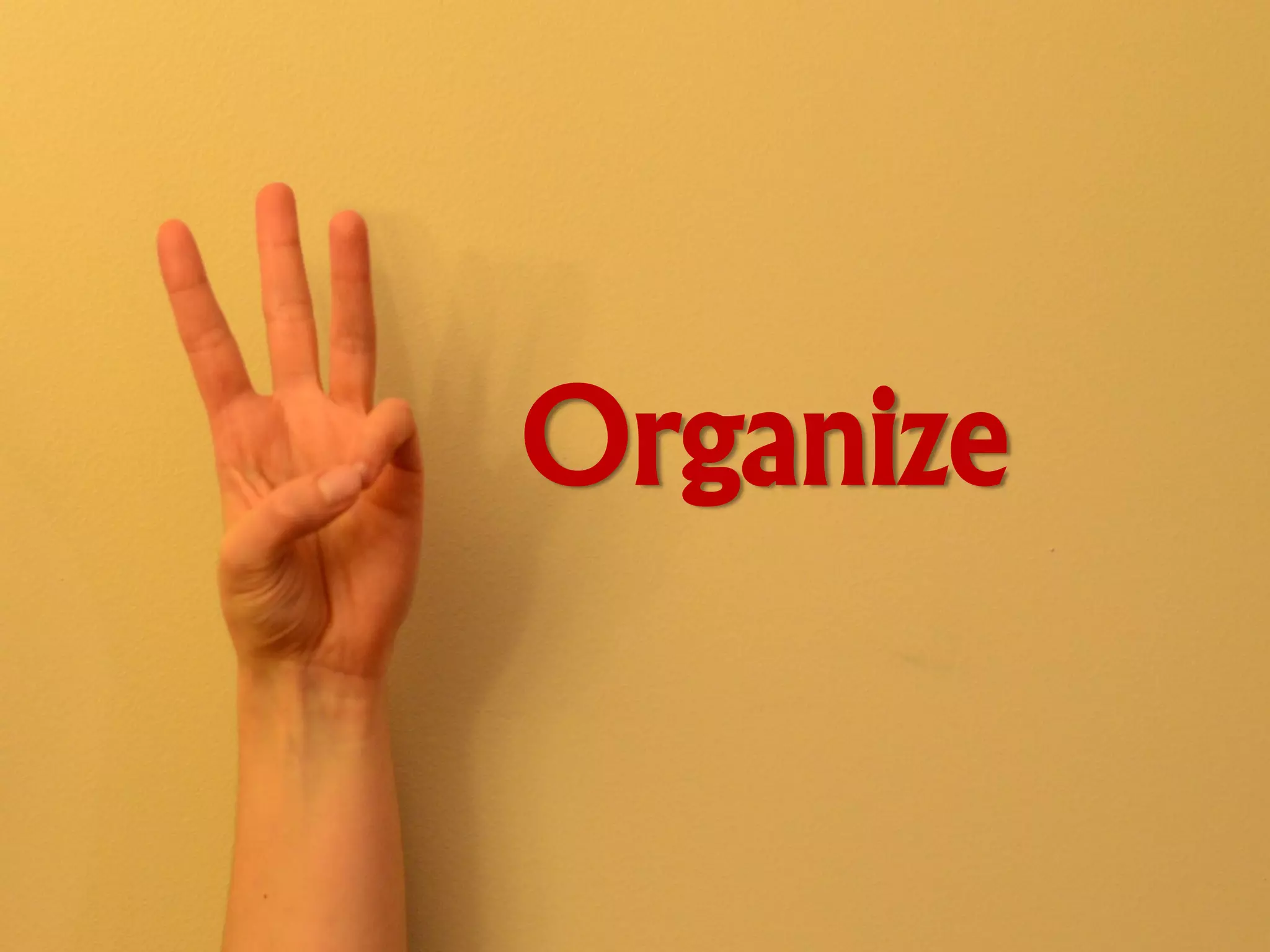 Organize
 