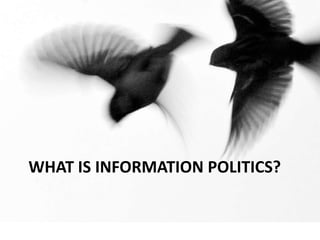 What is information politics?
