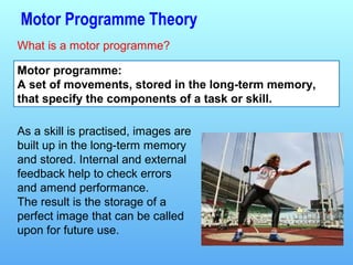 Motor Programme Information processing. l2 | PPT