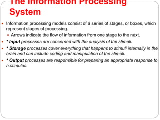 The Information Processing
System
 Information processing models consist of a series of stages, or boxes, which
represent stages of processing.
 Arrows indicate the flow of information from one stage to the next.
 * Input processes are concerned with the analysis of the stimuli.
 * Storage processes cover everything that happens to stimuli internally in the
brain and can include coding and manipulation of the stimuli.
 * Output processes are responsible for preparing an appropriate response to
a stimulus.
 