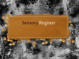 Sensory Register
 