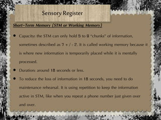 Sensory Register
Short-Term Memory (STM or Working Memory)
 Capacity: the STM can only hold 5 to 9 “chunks” of information,
sometimes described as 7 + / - 2. It is called working memory because it
is where new information is temporarily placed while it is mentally
processed.
 Duration: around 18 seconds or less.
 To reduce the loss of information in 18 seconds, you need to do
maintenance rehearsal. It is using repetition to keep the information
active in STM, like when you repeat a phone number just given over
and over.
 