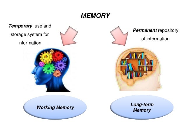 Information Processing and Motor Skill Performance