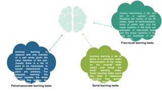 Information Processing and Cognitive Theories of Learning | PPTX