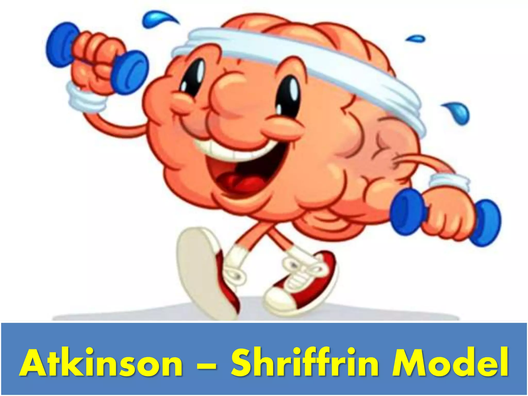 Atkinson – Shriffrin Model
 