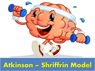 Atkinson – Shriffrin Model
 