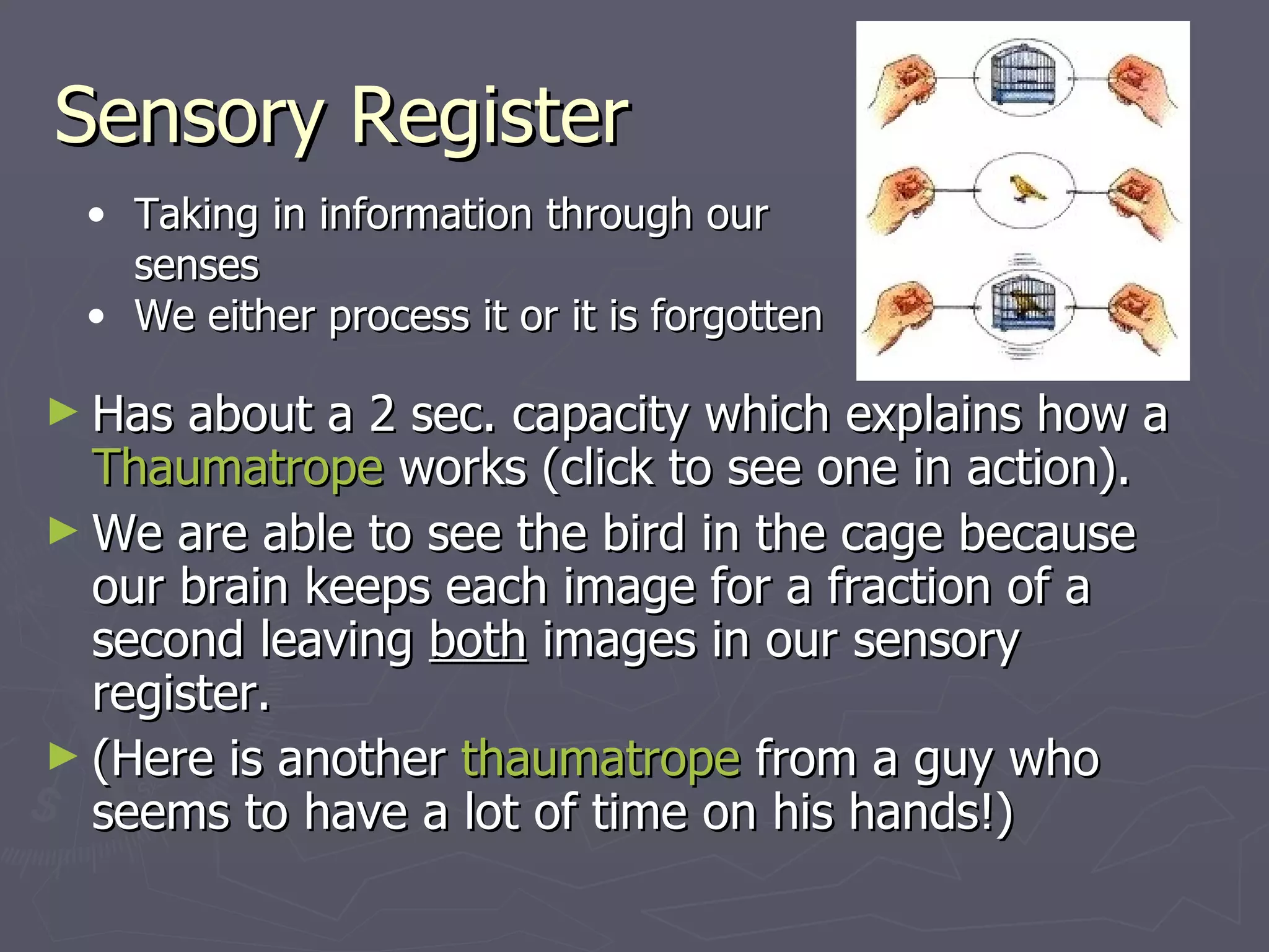 Sensory Register
 • Taking in information through our
   senses
 • We either process it or it is forgotten

► Has  about a 2 sec. capacity which explains how a
  Thaumatrope works (click to see one in action).
► We are able to see the bird in the cage because
  our brain keeps each image for a fraction of a
  second leaving both images in our sensory
  register.
► (Here is another thaumatrope from a guy who
  seems to have a lot of time on his hands!)
 