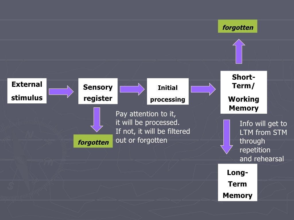 Information processing & cognitive theories of learning