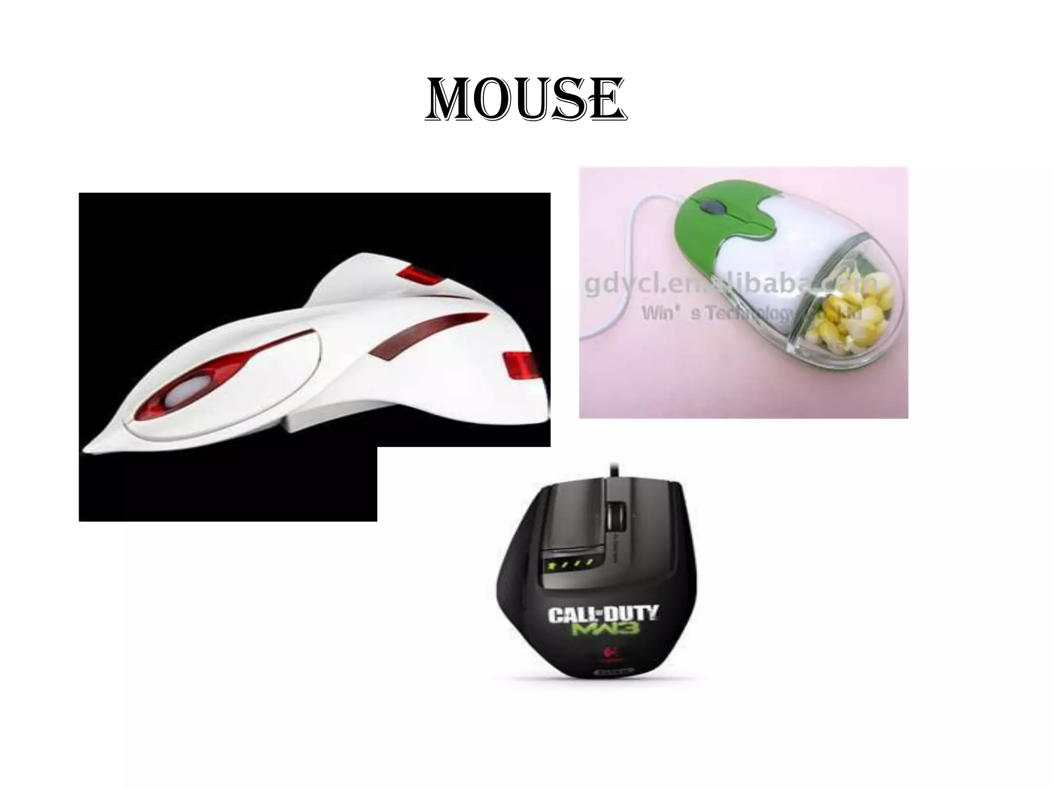 Mouse