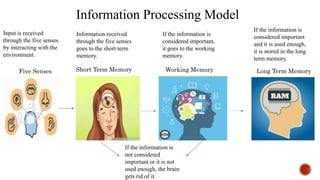 EDUC 553: Information processing model | PPTX