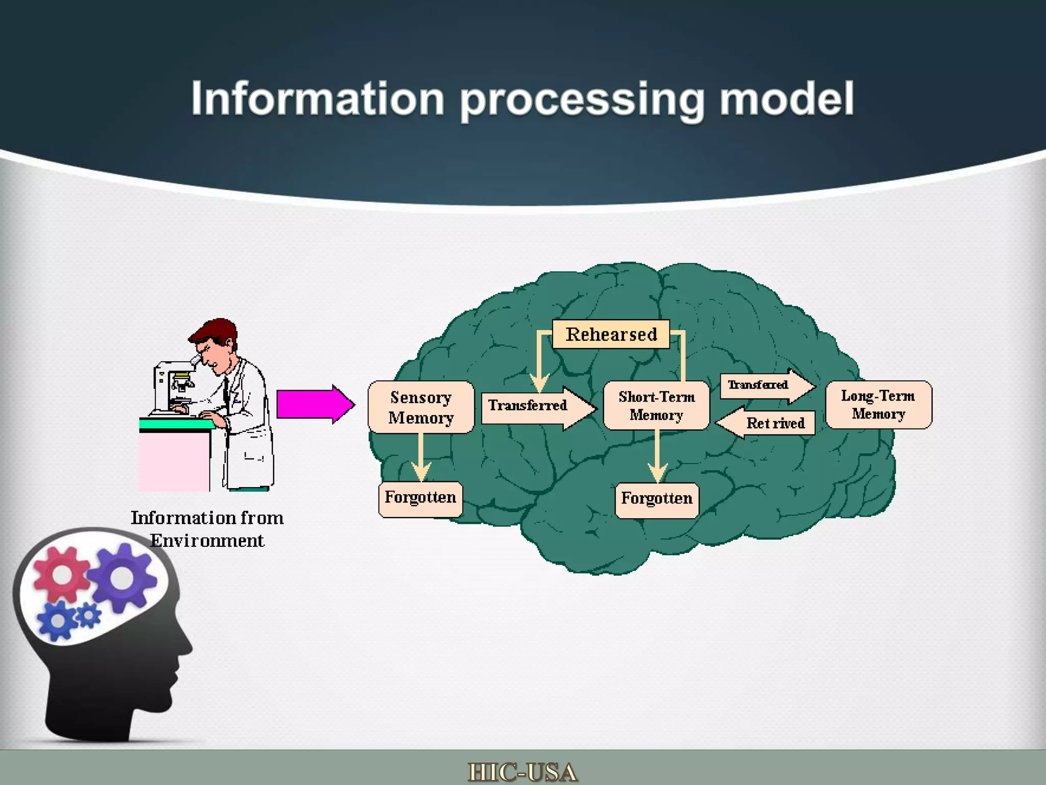 Information processing model or memory model | PPTX | Data Storage and ...