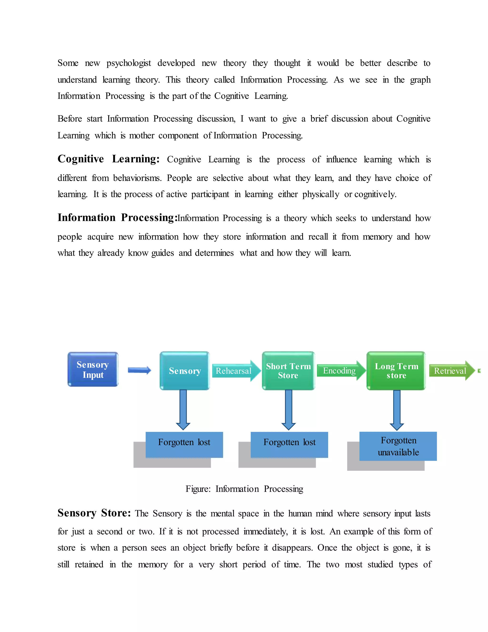 Information processing theory | DOCX | Data Storage and Warehousing ...