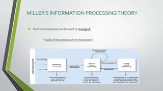 Information processing theory. PPT2.pptx