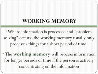Comprehensive Overview of Information Processing Theory and Memory ...
