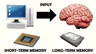 INPUT
SHORT-TERM MEMORY LONG-TERM MEMORY