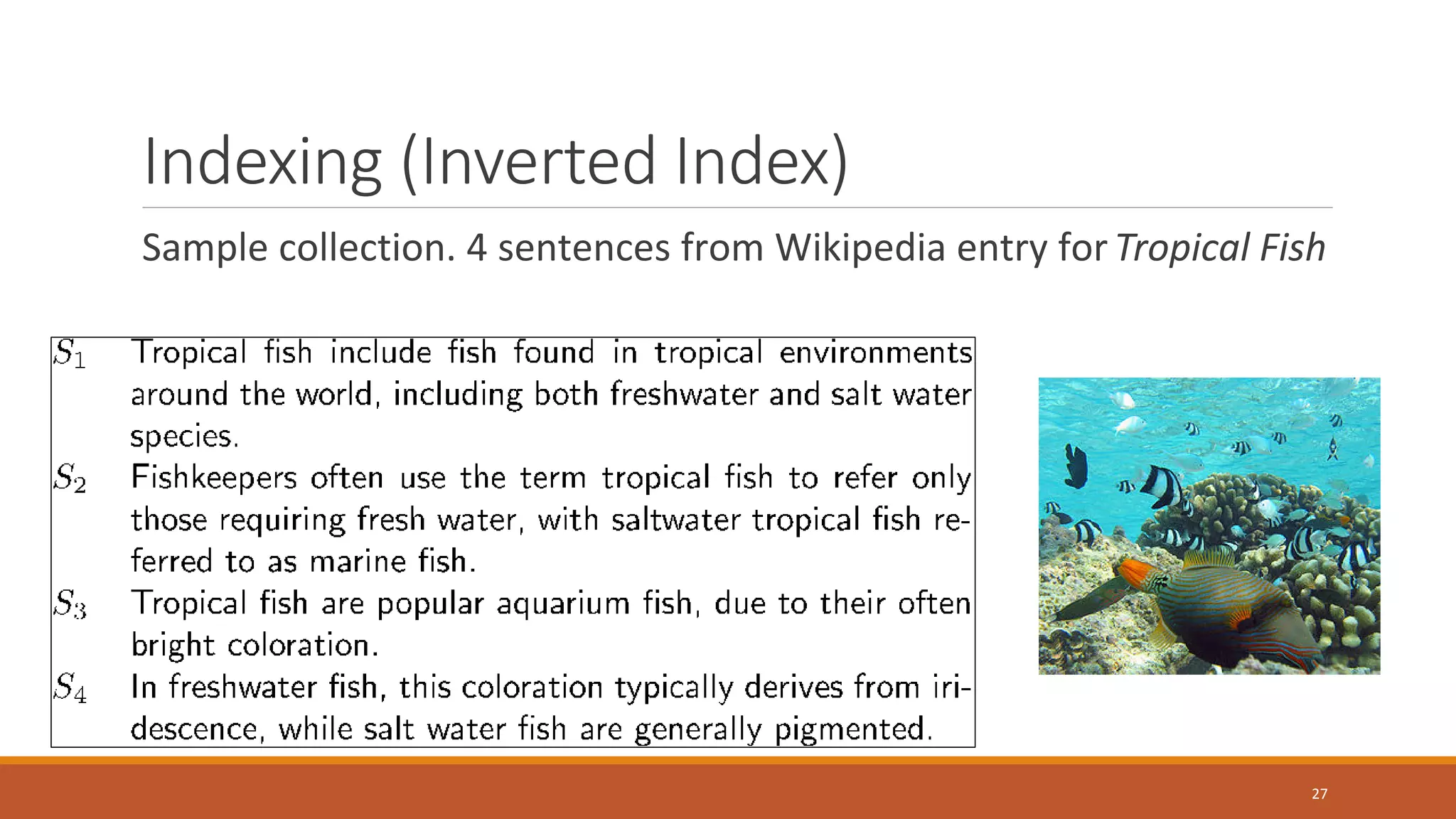 Indexing (Inverted Index)
Sample collection. 4 sentences from Wikipedia entry forTropical Fish
27
 