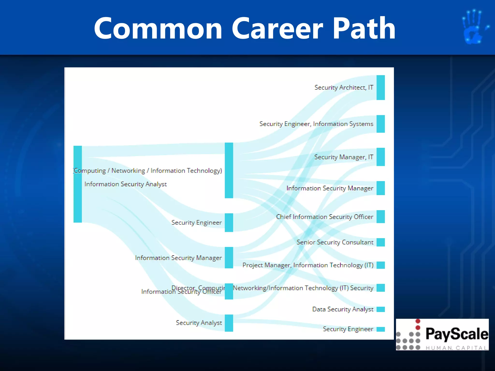 Common Career Path
 
