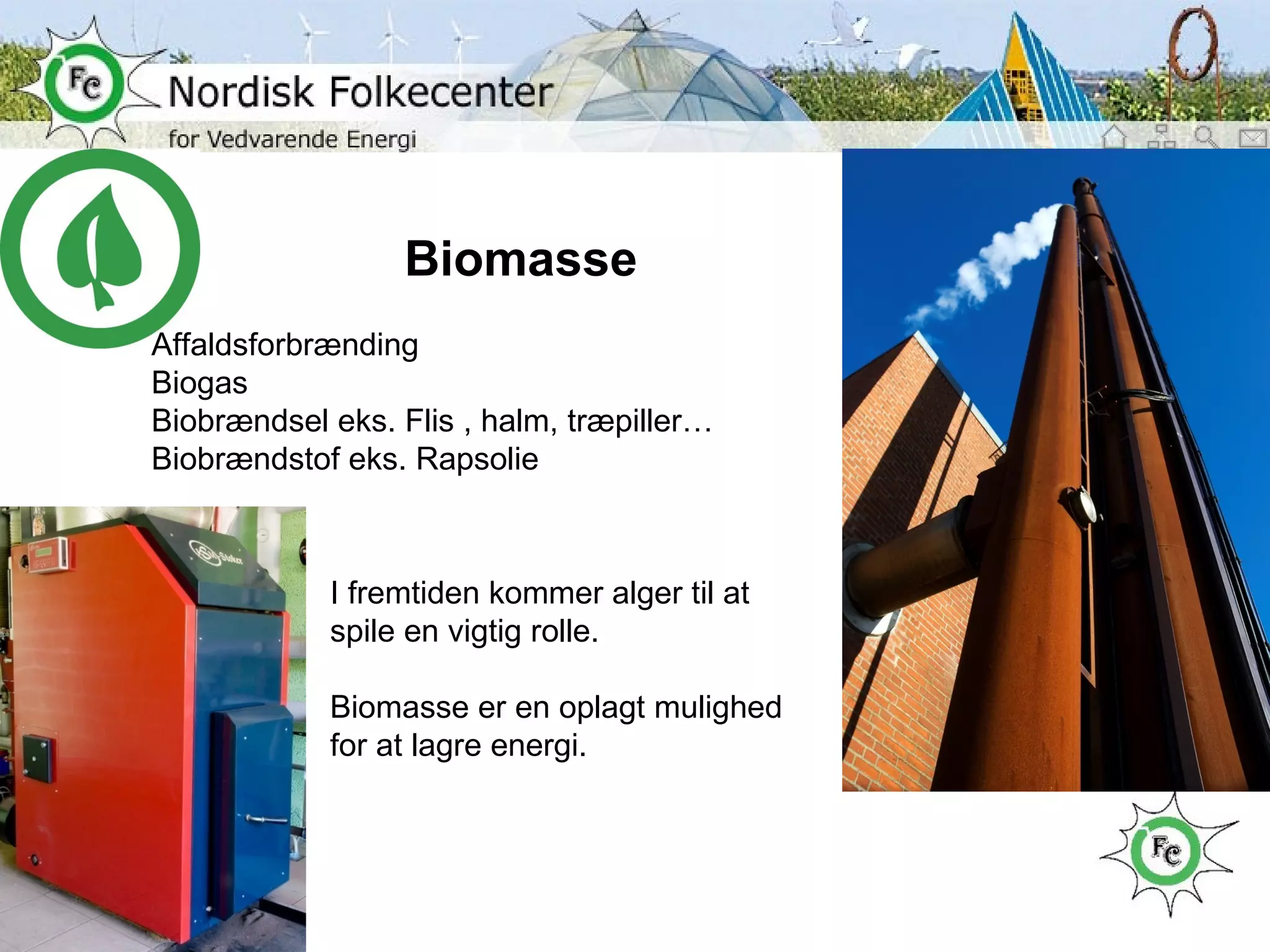 Biomasse Affaldsforbrænding Biogas Biobrændsel eks. Flis , halm, træpiller… Biobrændstof eks. Rapsolie I fremtiden kommer alger til at spile en vigtig rolle. Biomasse er en oplagt mulighed for at lagre energi. 
