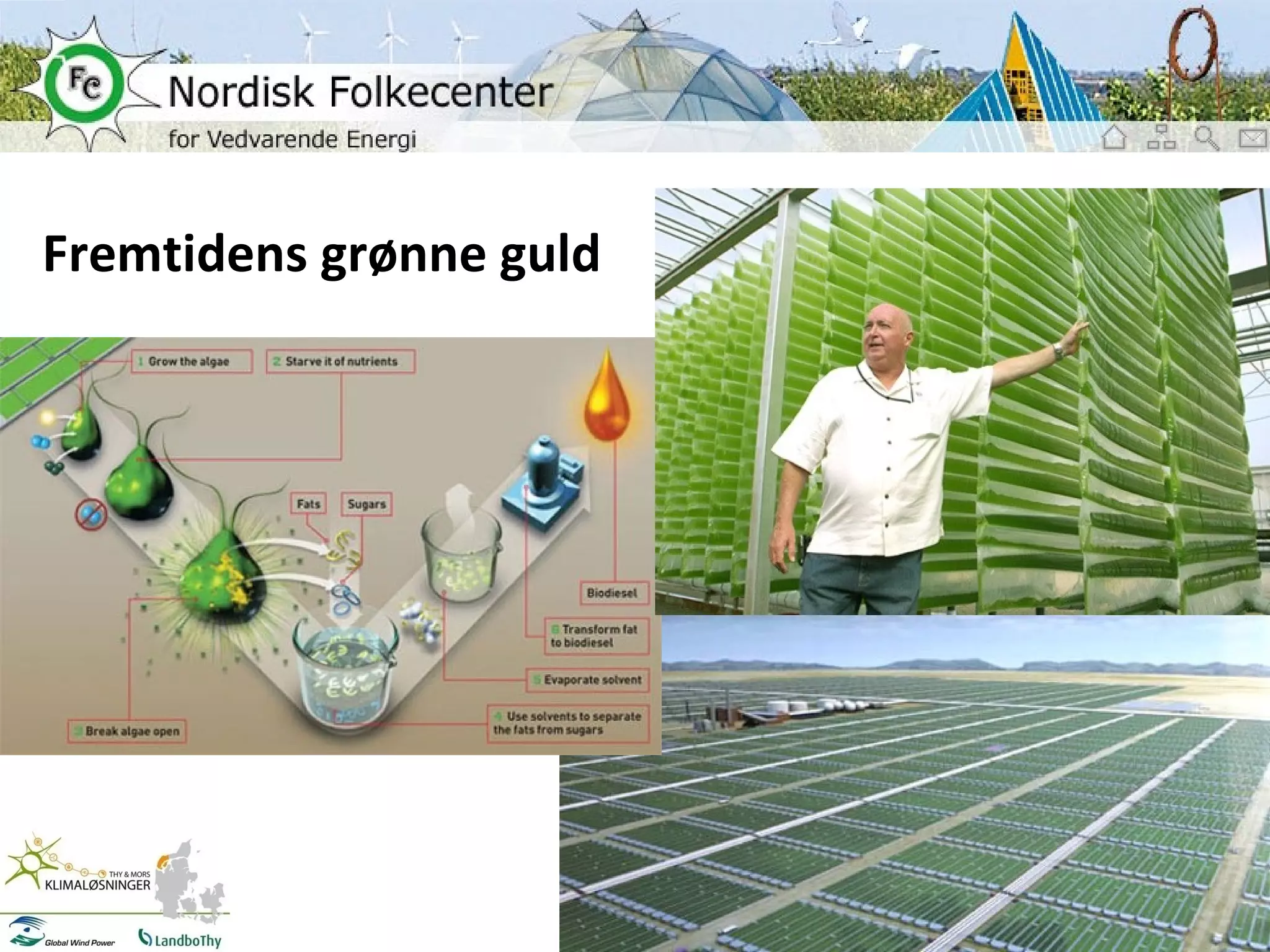 Fremtidens grønne guld 