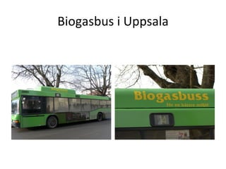 Biogasbus i Uppsala 