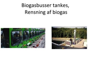 Biogasbusser tankes,  Rensning af biogas 