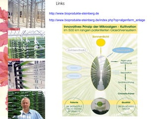 http://www.bioprodukte-steinberg.de/index.php?op=algenfarm_anlage http://www.bioprodukte-steinberg.de Links 