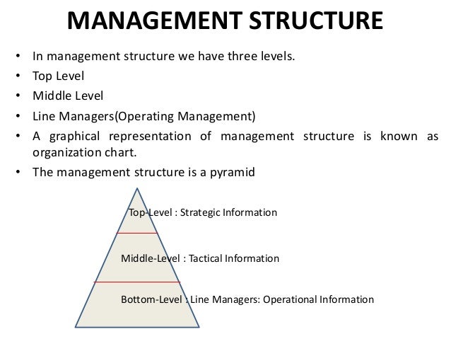 Management Information System Organizational Chart