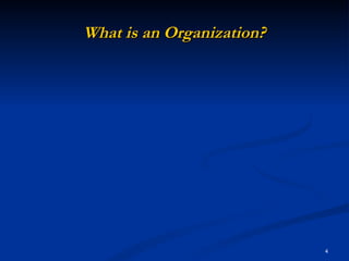 What is an Organization? 