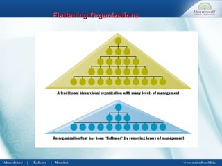 Flattening Organizations
 