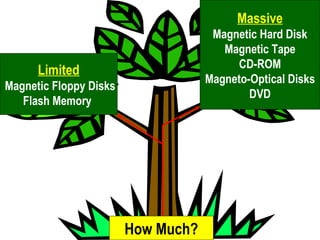 How Much? Limited Magnetic Floppy Disks Flash Memory  Massive Magnetic Hard Disk Magnetic Tape CD-ROM Magneto-Optical Disks DVD 