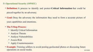 Information Warfare in e-government .pptx