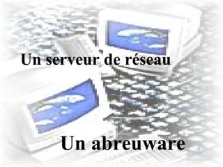 Un serveur de réseau Un abreuware 
