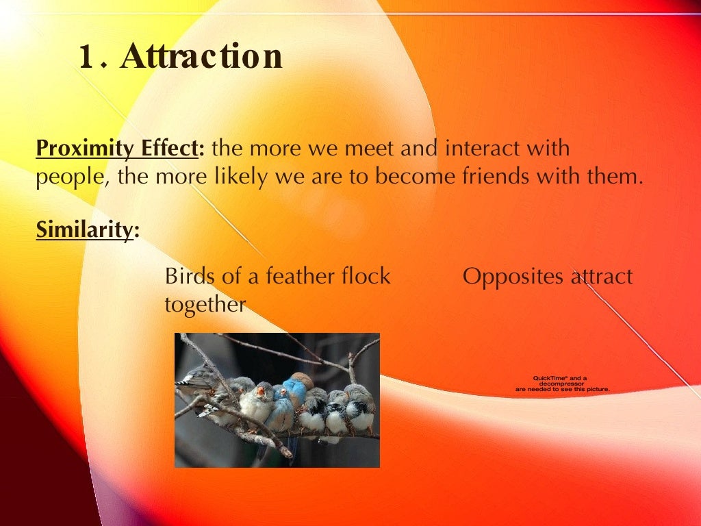 The Psychology Behind Romantic Relationships