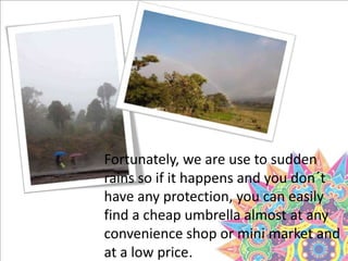 Fortunately, we are use to sudden
rains so if it happens and you don´t
have any protection, you can easily
find a cheap umbrella almost at any
convenience shop or mini market and
at a low price.
 