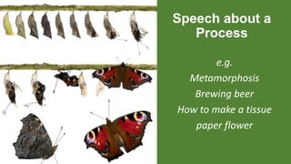 Speech about a
Process
e.g.
Metamorphosis
Brewing beer
How to make a tissue
paper flower
 