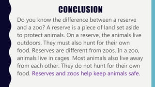 CONCLUSION
Do you know the difference between a reserve
and a zoo? A reserve is a piece of land set aside
to protect animals. On a reserve, the animals live
outdoors. They must also hunt for their own
food. Reserves are different from zoos. In a zoo,
animals live in cages. Most animals also live away
from each other. They do not hunt for their own
food. Reserves and zoos help keep animals safe.
 