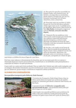 5A- Boa parte do vapor fica acumulada nos próprios Andes, sob a forma de neve. Ao derreter, essa água desce as montanhas, dando origem a córregos que, por sua vez, formarão os principais rios da bacia Amazônica, como o Amazonas; 
5B- Nem todo vapor que encontra os Andes fica por ali. Cerca de 40% dessa cachoeira celeste segue rumo ao sul. A umidade passa por Rondônia, Mato Grosso, Mato Grosso do Sul e São Paulo, terminando a viagem no norte do Paraná, cerca de seis dias depois; 
6A - Enquanto flui em caudalosos veios rumo ao mar, muito da água proveniente dos rios voadores é absorvido pela floresta. Quando transpiram, as árvores então liberando esse líquido em forma de vapor, fechando o ciclo que novamente alimentará a corrente no céu; 
6B- Por fim, o rio voador cai em forma de chuva. Mais da metade da precipitação das Regiões Centro-Oeste e Sudeste vem dos rios aéreos da Amazônia. Além desse veio principal, outras 20 correntezas cruzam o céu do país, carregando um volume de água equivalente a 4 trilhões de caixas-d’água de 1 000 litros. 
Pois bem, como sabemos o desmatamento da Amazônia, que em sua maior parte deve-se a posses e destruições ilegais de enormes áreas de florestas, transformam-se em latifúndios onde principalmente a exploração da madeira e do gado prevalecem. 
E para onde vai a maior parte desta produção? Para as regiões Sul e Sudeste que estão sendo castigadas com as estiagens. Resumindo, fomentamos um ciclo econômico que secam nossos preciosos reservatórios e rios que nos abastecem, geram energia e mobilizam as respectivas cadeias produtivas. 
ALGUMAS DAS CONSEQUÊNCIAS: 
Seca paralisa transporte pela Hidrovia Tietê-Paraná! 
O ministro dos Transportes, Paulo Sérgio Passos, disse na última quinta-feira (21) esperar que as chuvas de outubro possam ser suficientes para liberar a hidrovia Tietê-Paraná, em São Paulo. 
A operação de parte da hidrovia -a segunda mais movimentada do país - está paralisada desde junho por falta de água nos rios da região. 
A interrupção vem causando problemas para produtores de milho e soja, pois a hidrovia é usada para escoar parte da produção da região Centro-Oeste até o porto de Santos (SP). 
 